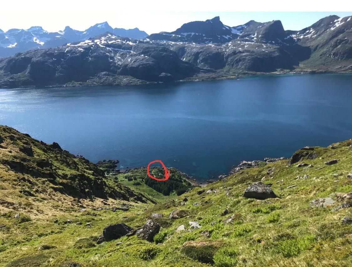 Vettinghytta, Close To The Sea With Amazing View. Gravdal (Vestvagoy) Exterior foto