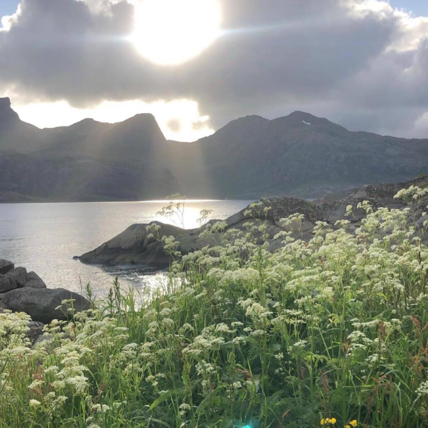 Vettinghytta, Close To The Sea With Amazing View. Gravdal (Vestvagoy) Exterior foto